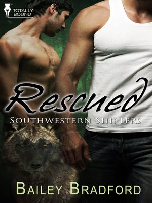 Reverence (Southwestern Shifters Series Book 6)